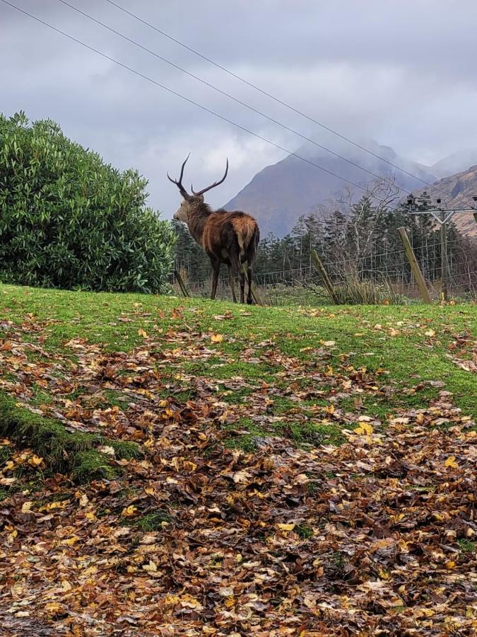 Ormasaig, Self Catering, One Mile To Town & Close To Ben Nevis Villa ฟอร์ตวิลเลียม ภายนอก รูปภาพ
