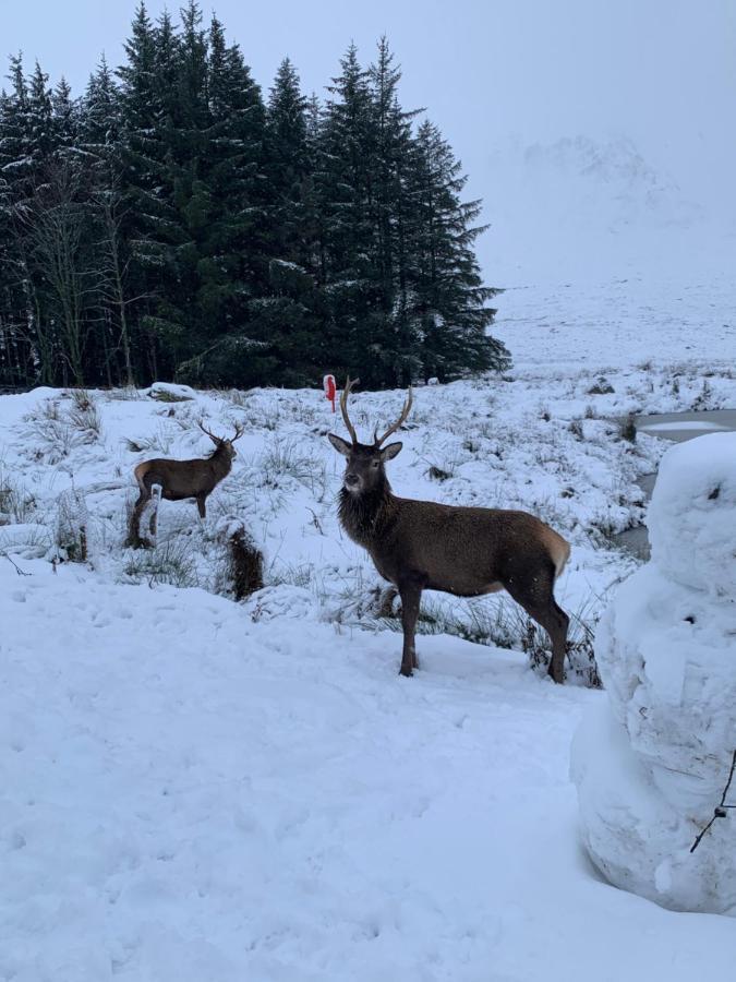 Ormasaig, Self Catering, One Mile To Town & Close To Ben Nevis Villa ฟอร์ตวิลเลียม ภายนอก รูปภาพ